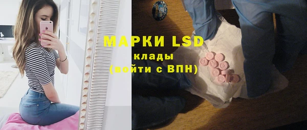 хмурый Инта