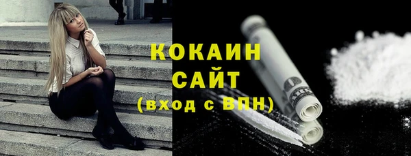 хмурый Инта